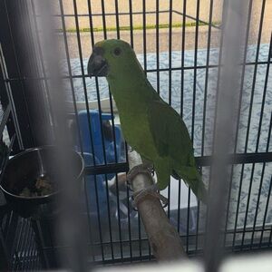 Meet your Posher, Petra